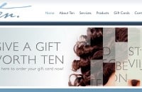 Ten Salon’s new website