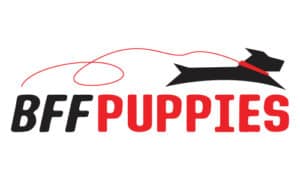 BFF Puppies logo design
